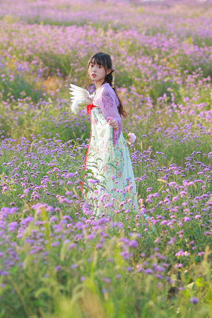 少女的祈祷小说