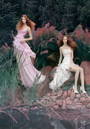 芒果导航回家的路