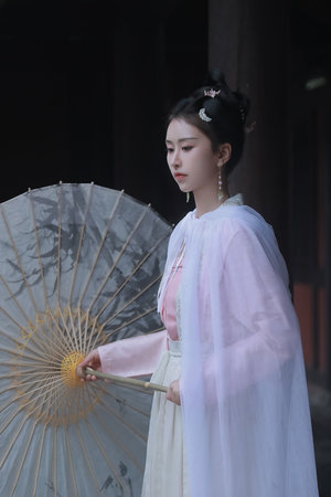 火线追凶2之不白之冤