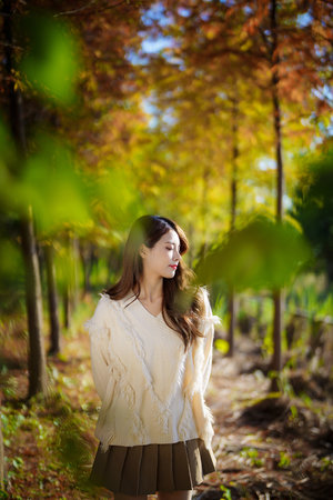 天地双龙全集播放