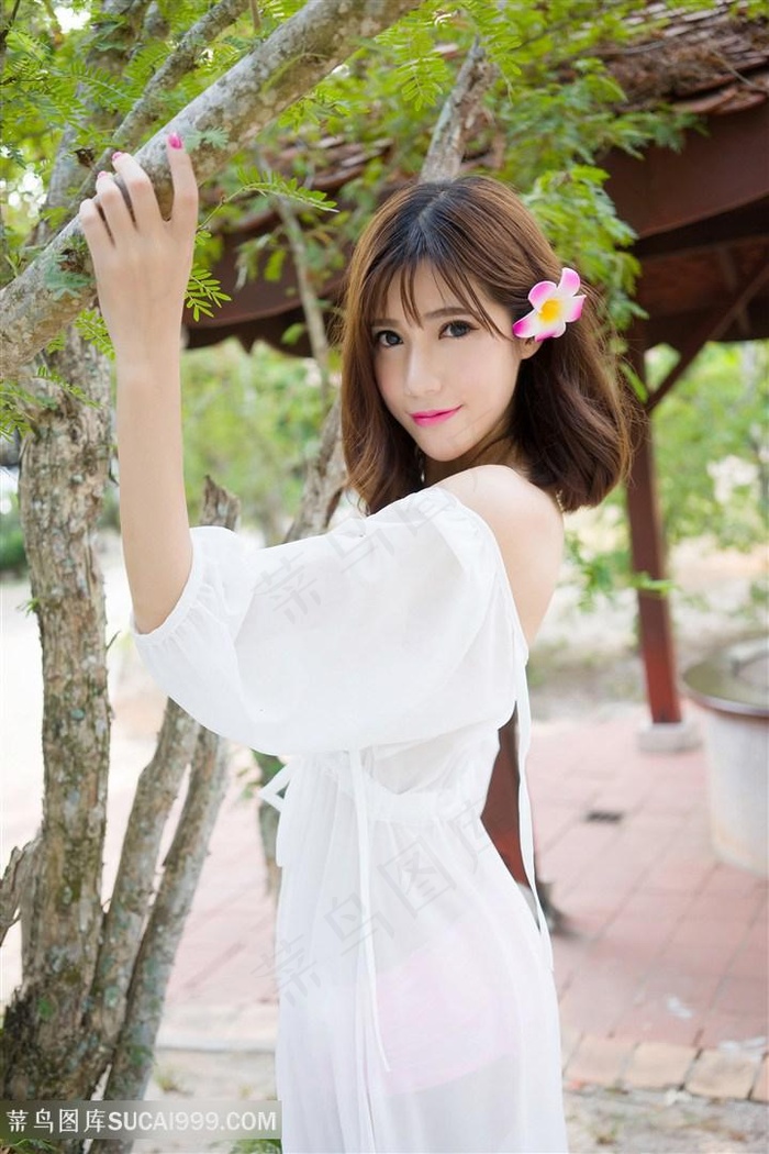 我们这一家全集国语版