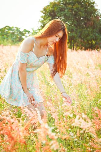 桃花影视入口免费观看