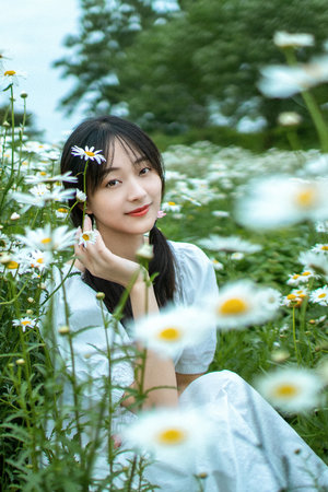 排爆手电影在线观看免费完整版