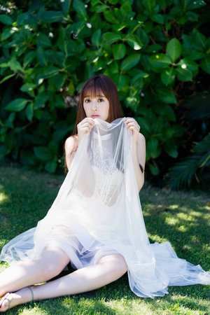 高岭家的二枝花樱花星辰观看